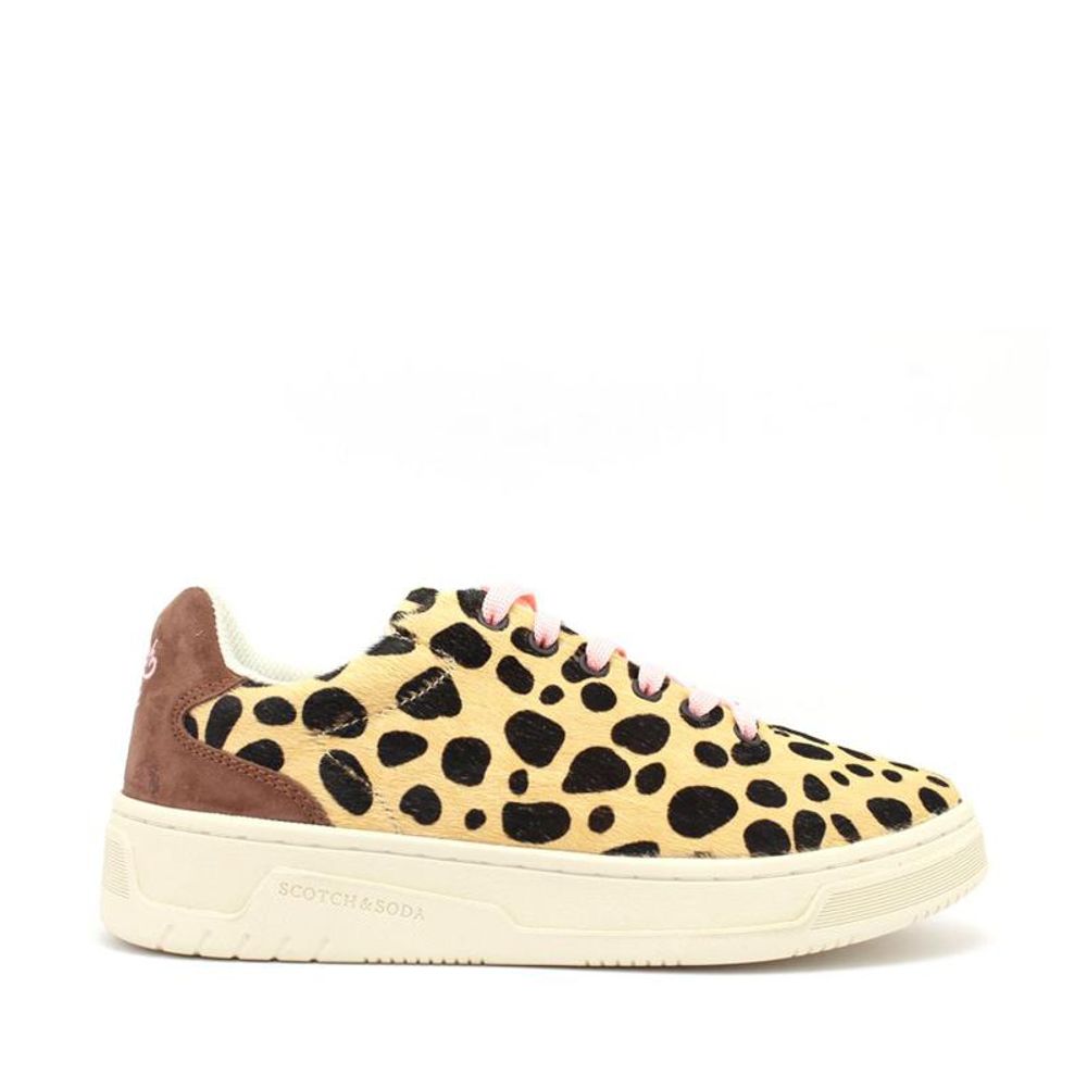 SCOTCH & SODA sportiniai batai