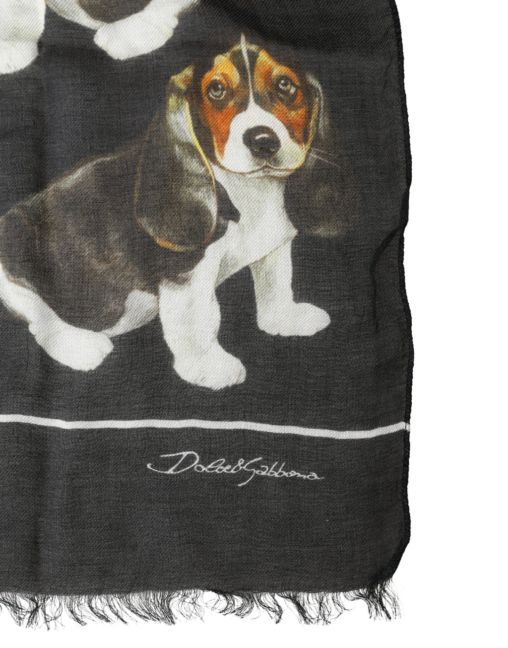DOLCE & GABBANA šalikas