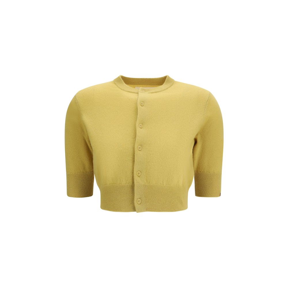 EXTREME CASHMERE megztinis