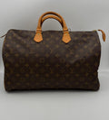 LOUIS VUITTON rankinė