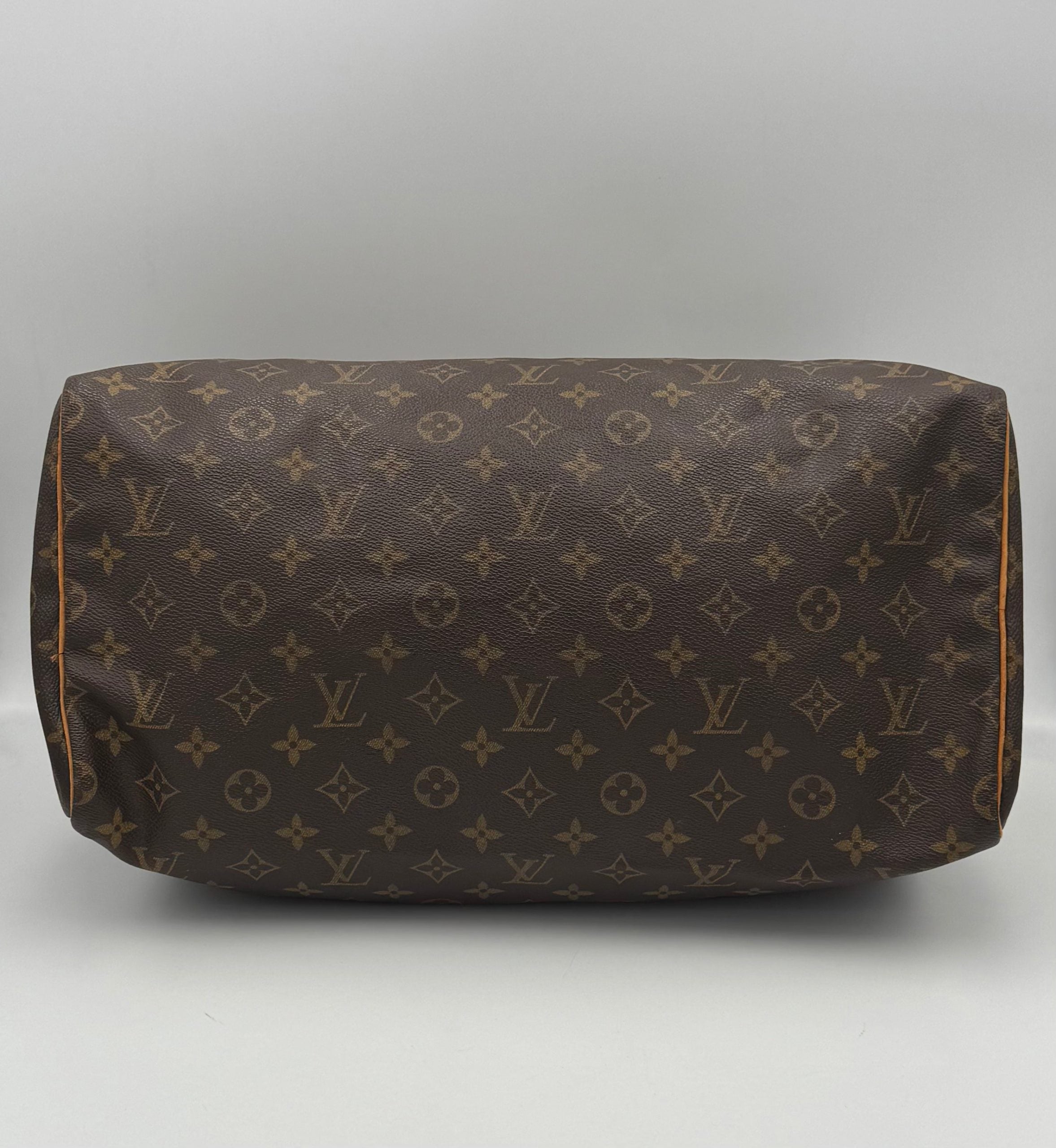 LOUIS VUITTON rankinė