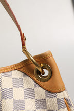 LOUIS VUITTON rankinė