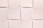 BOTTEGA VENETA rankinė