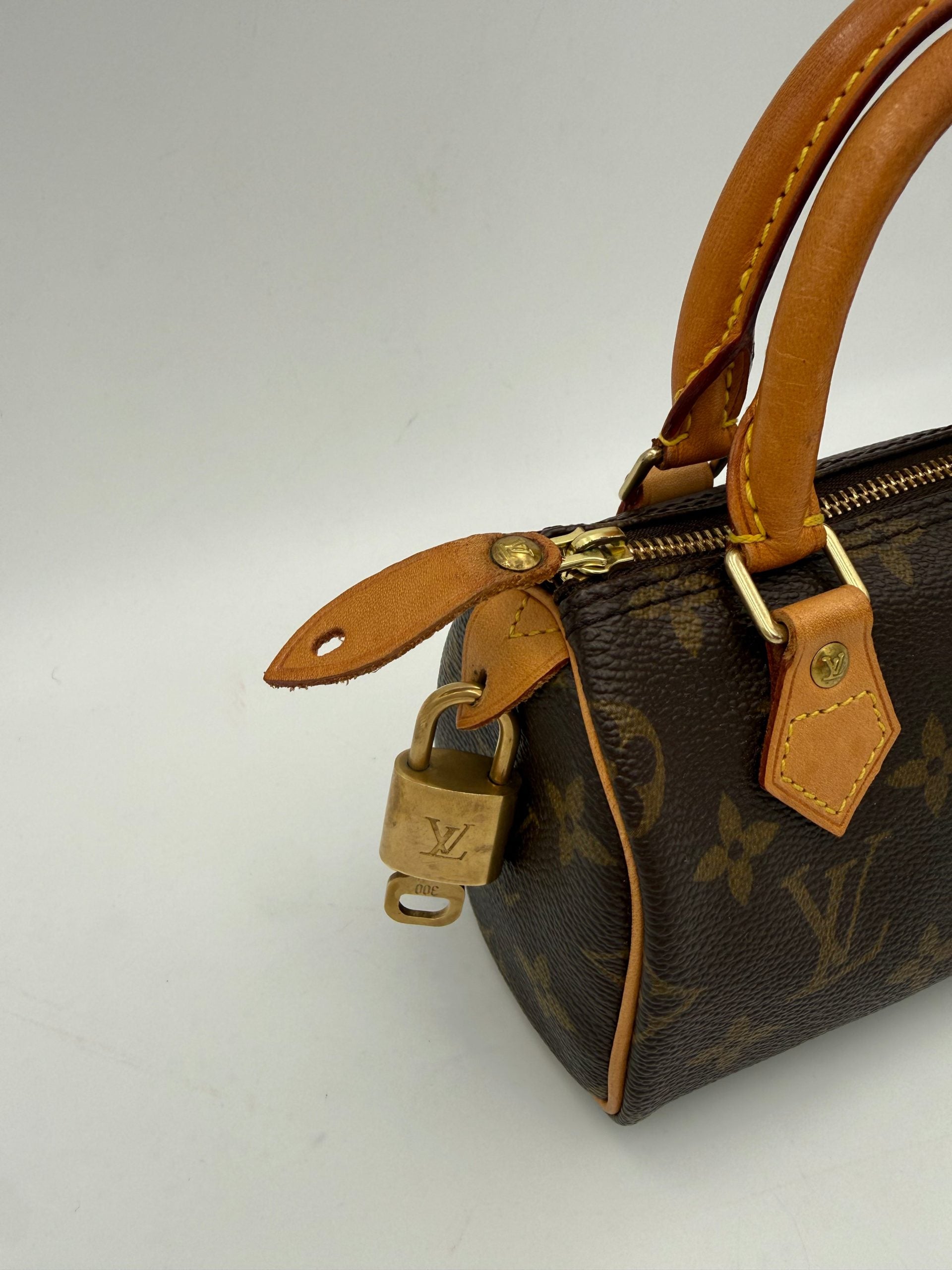LOUIS VUITTON rankinė