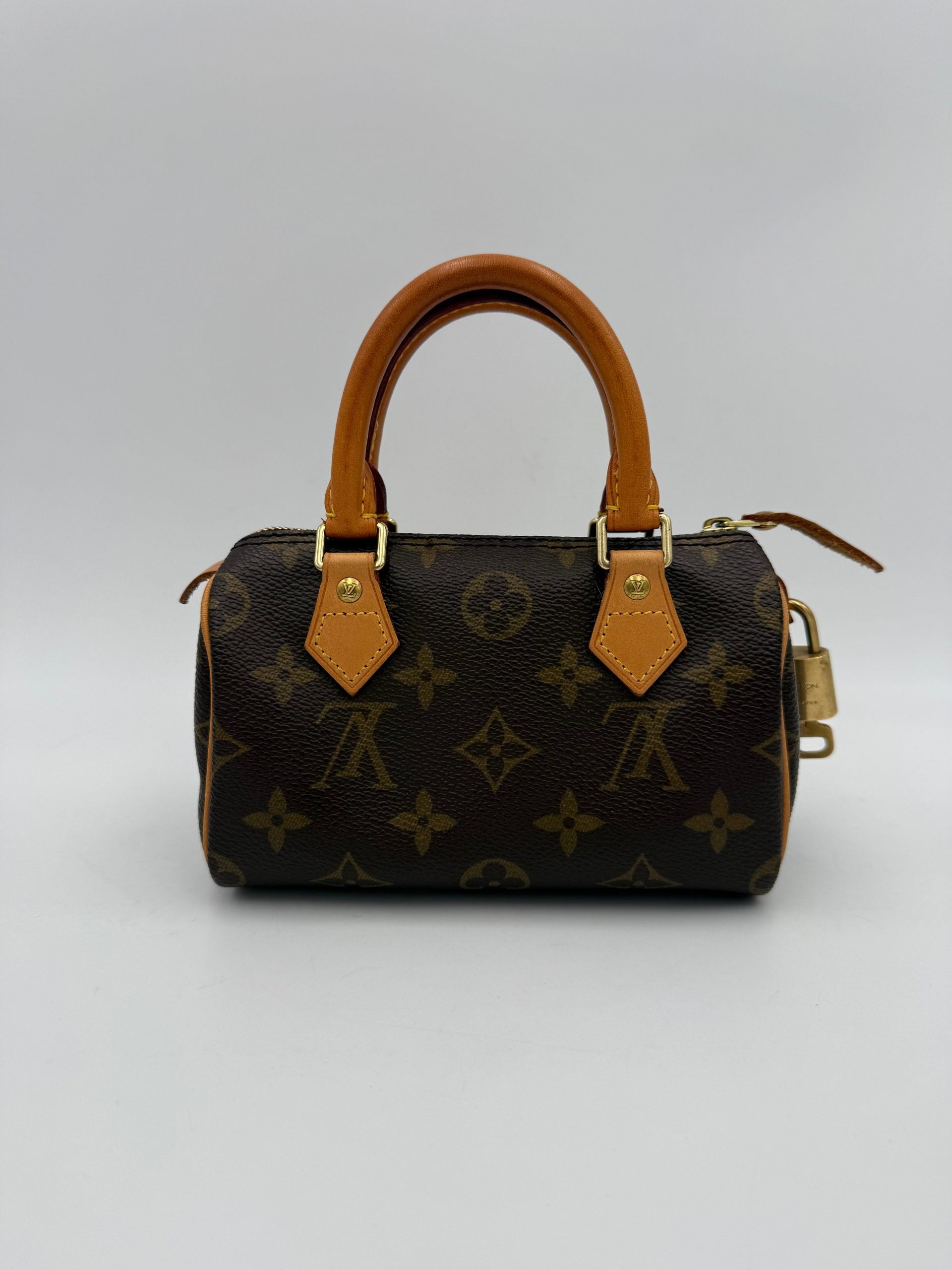 LOUIS VUITTON rankinė