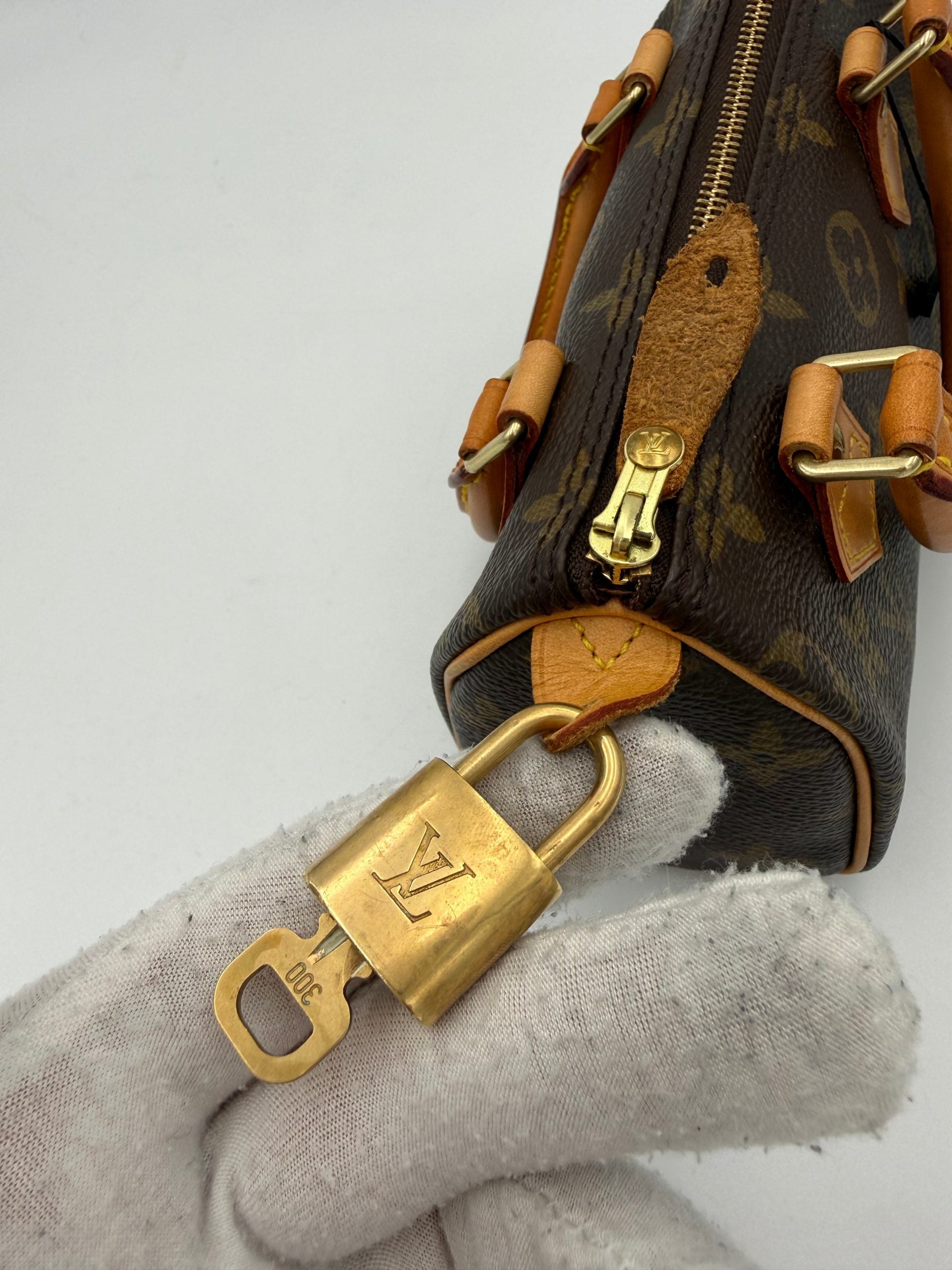 LOUIS VUITTON rankinė