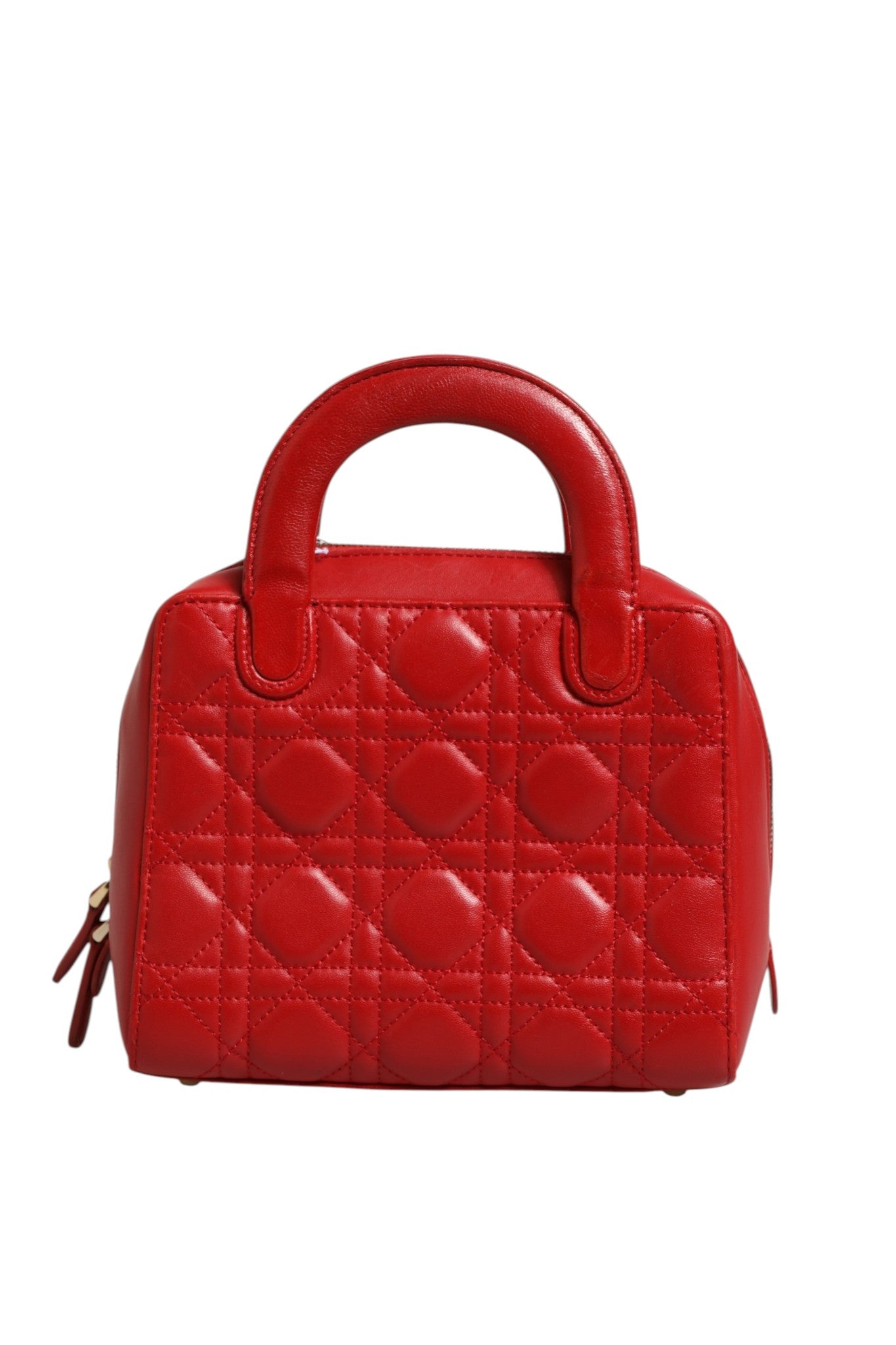 CHRISTIAN DIOR rankinė