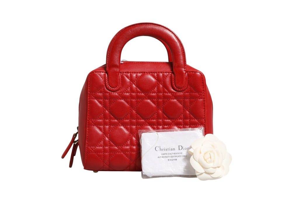 CHRISTIAN DIOR rankinė