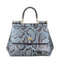 DOLCE & GABBANA rankinė