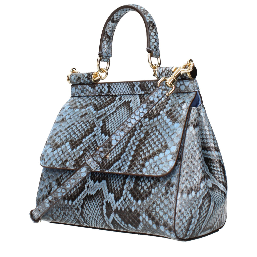 DOLCE & GABBANA rankinė