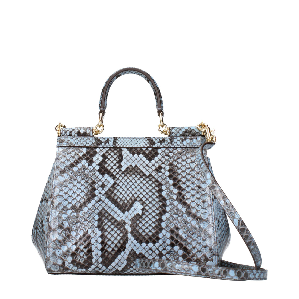 DOLCE & GABBANA rankinė