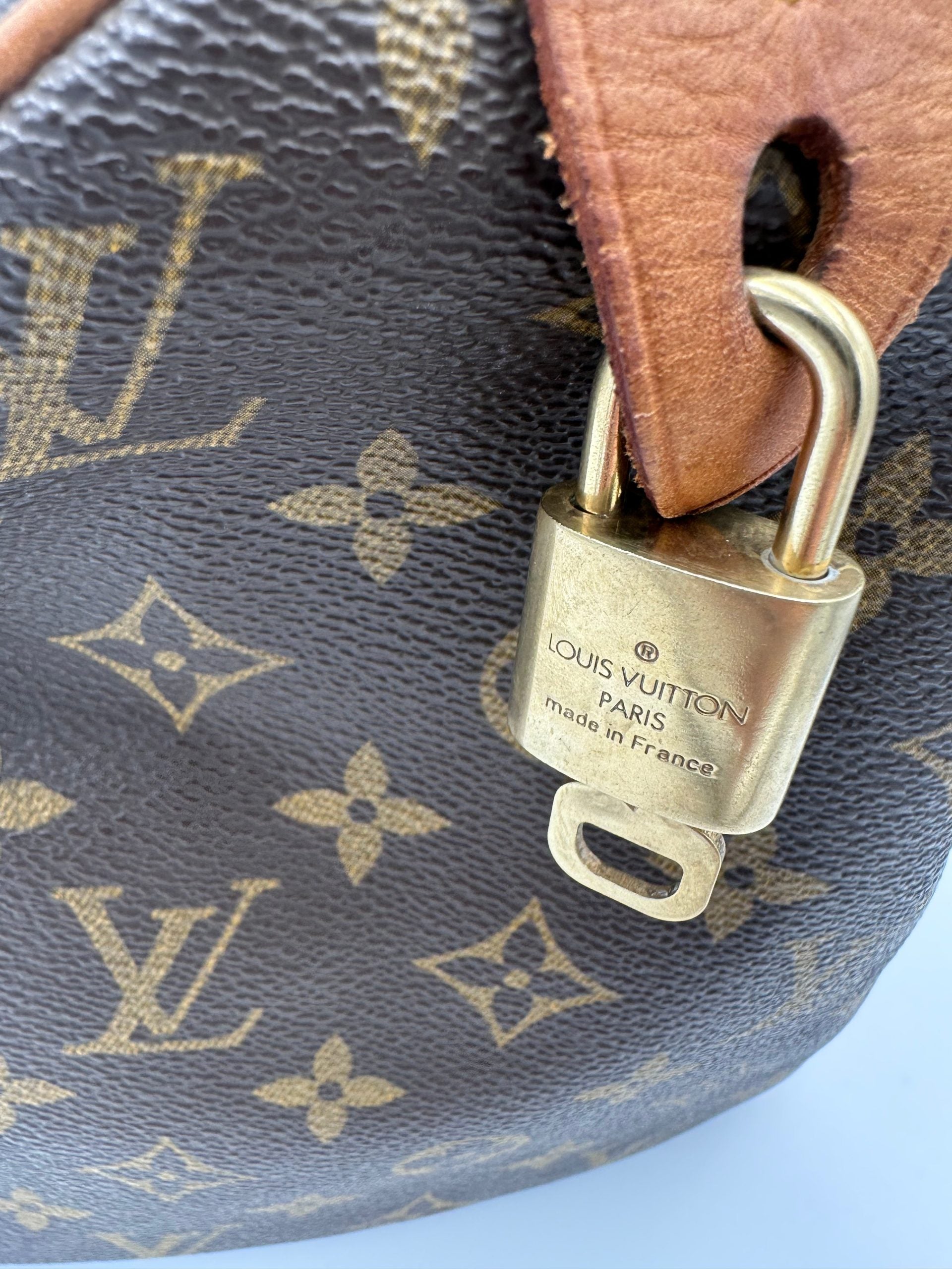 LOUIS VUITTON rankinė