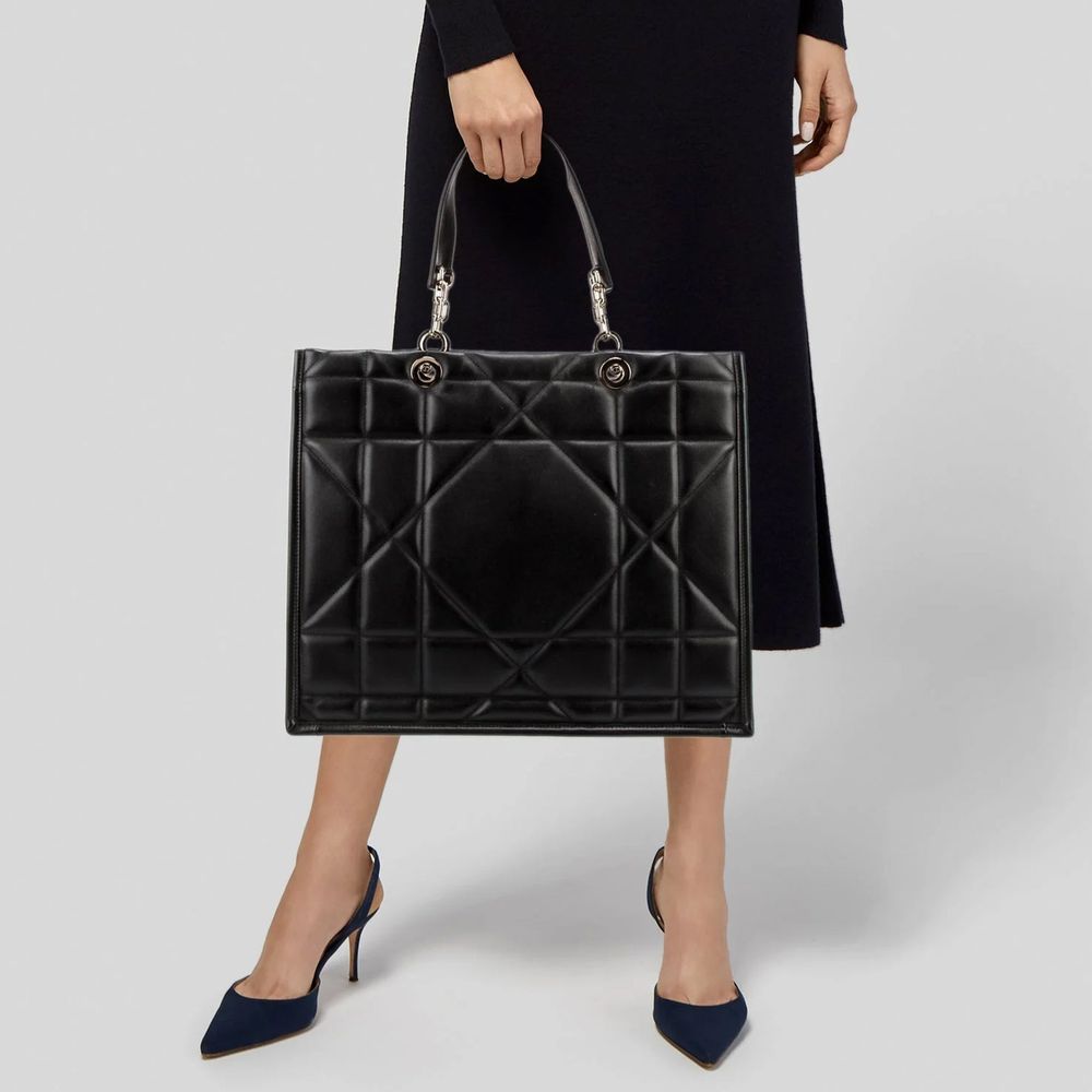 DIOR rankinė