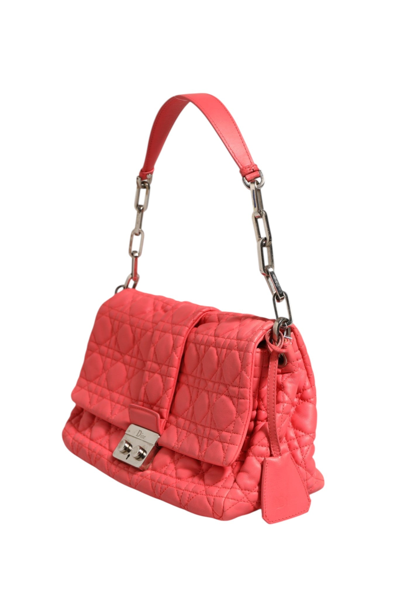 CHRISTIAN DIOR rankinė