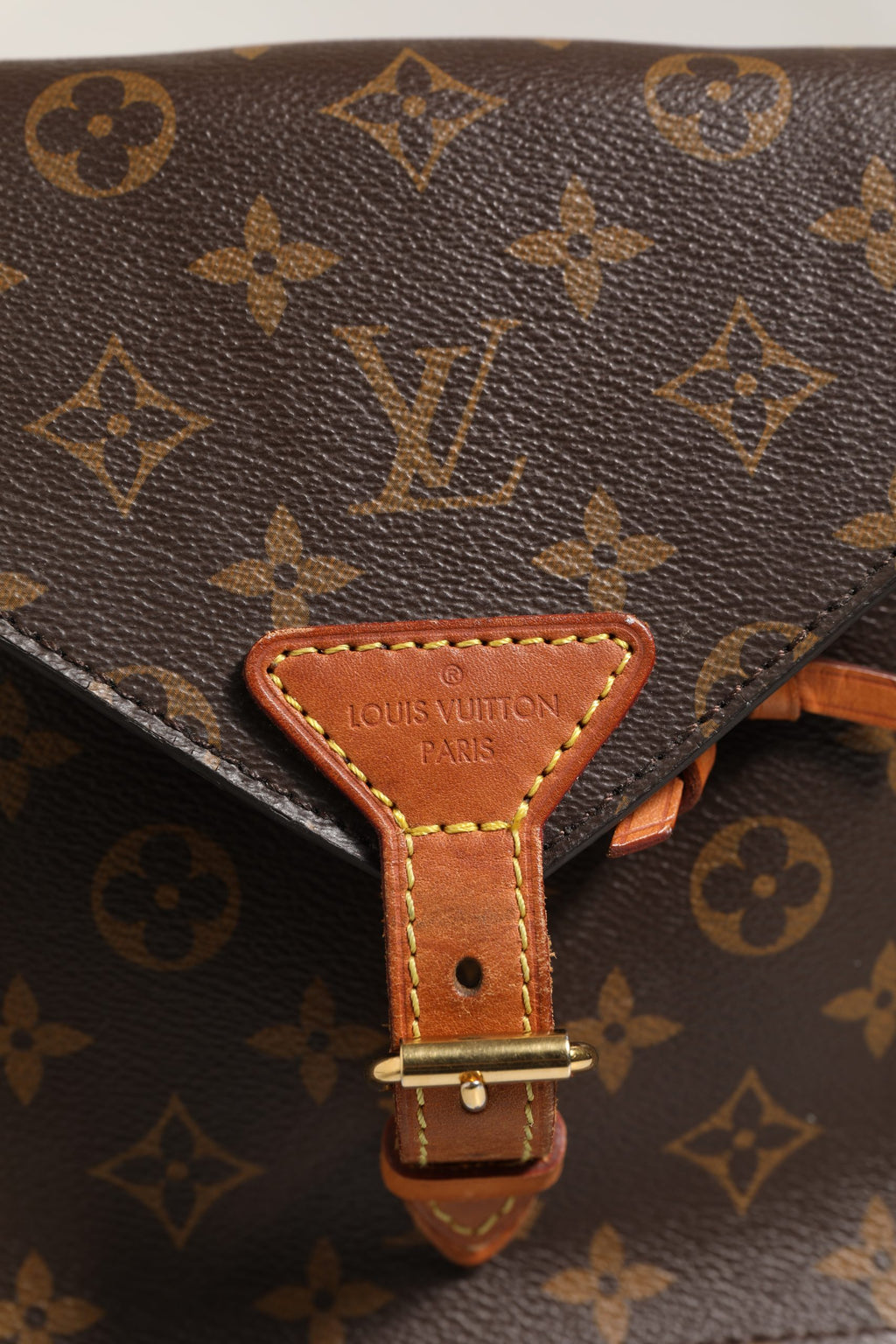 LOUIS VUITTON kuprinė