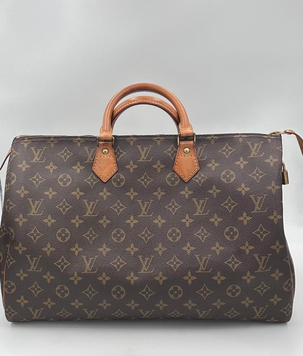 LOUIS VUITTON rankinė