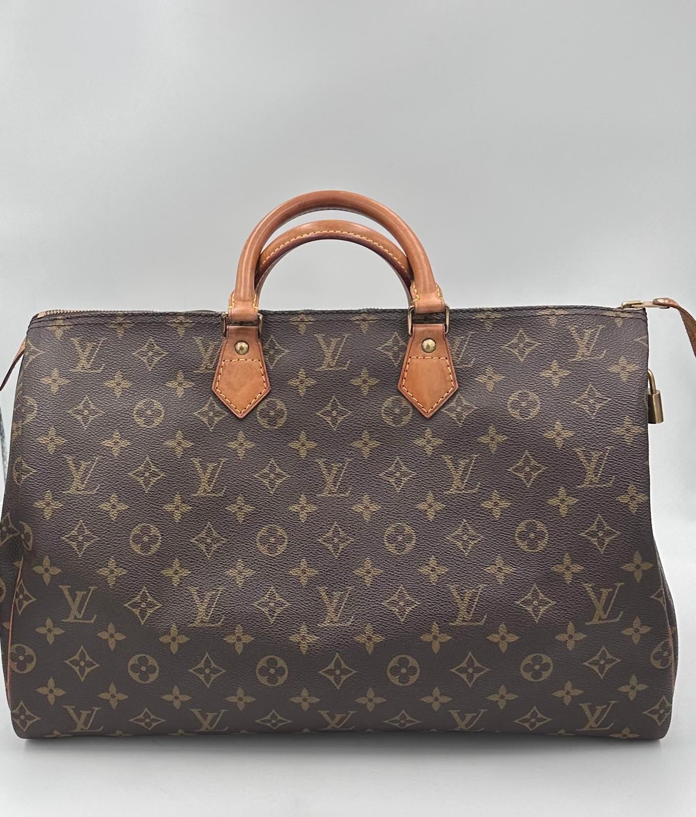 LOUIS VUITTON rankinė