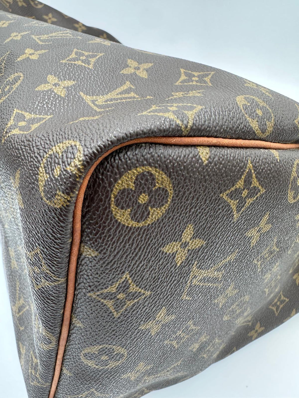 LOUIS VUITTON rankinė