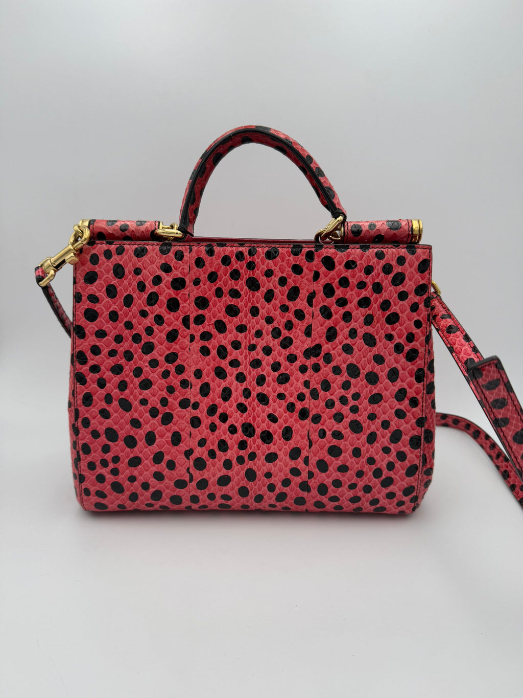 DOLCE & GABBANA rankinė