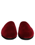DOLCE & GABBANA šlepetės