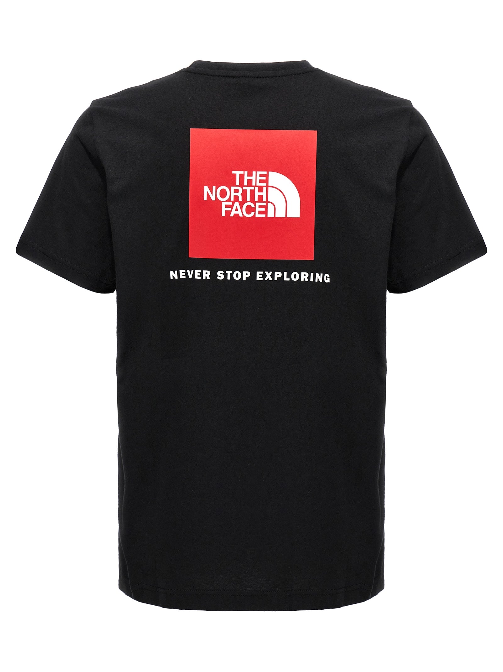 THE NORTH FACE marškinėliai