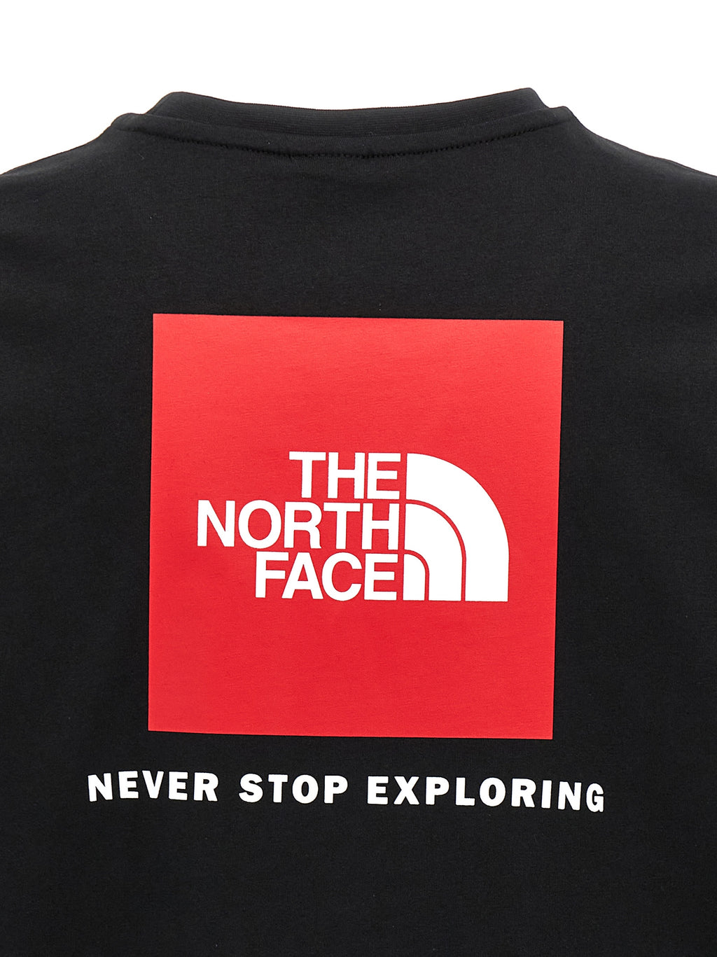 THE NORTH FACE marškinėliai