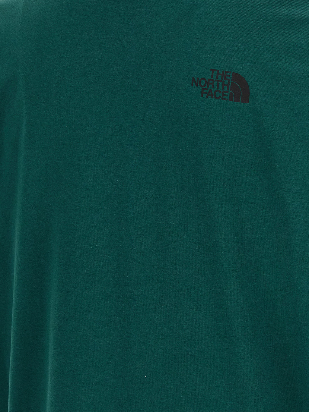 THE NORTH FACE marškinėliai