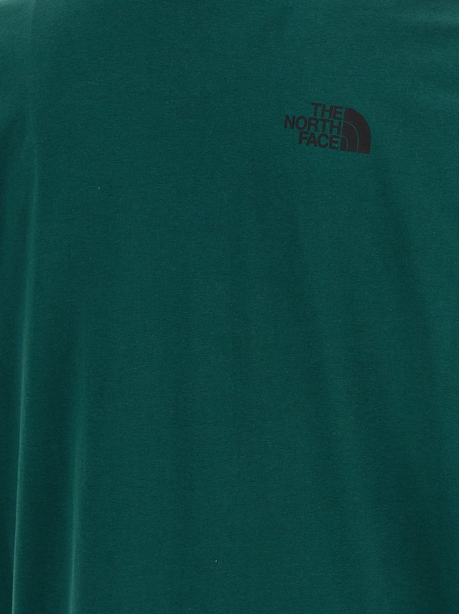 THE NORTH FACE marškinėliai