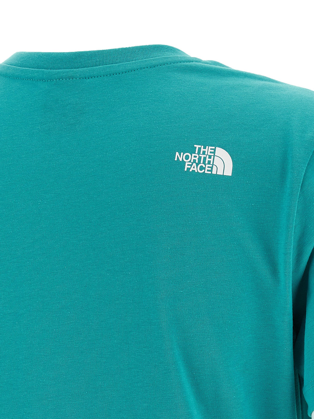 THE NORTH FACE marškinėliai