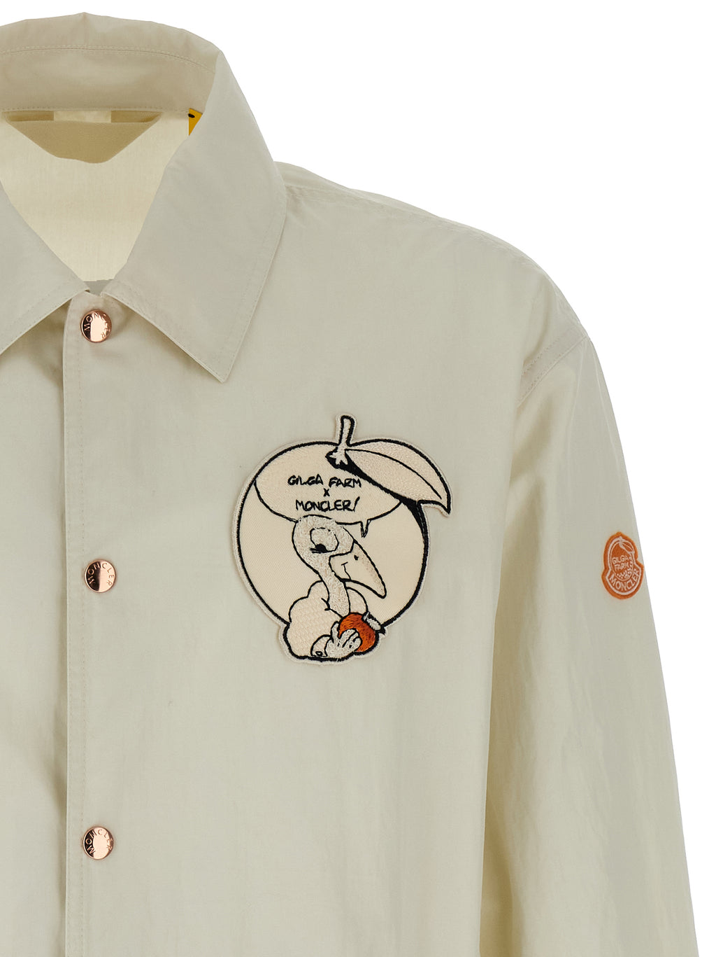 MONCLER GENIUS striukė