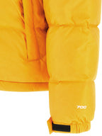 THE NORTH FACE striukė