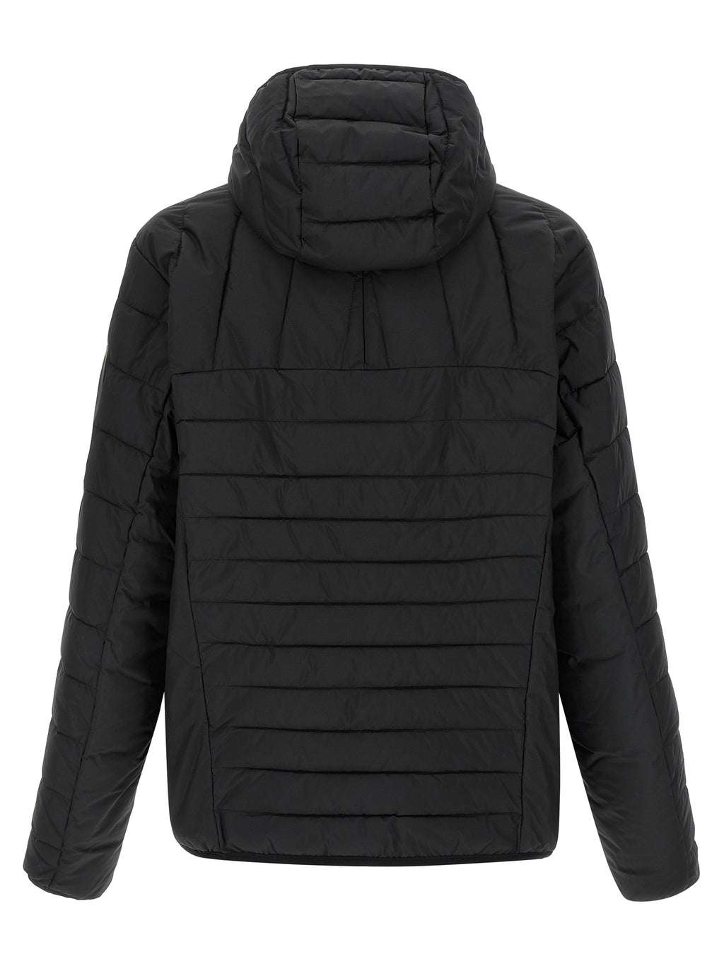 HUGO BOSS striukė