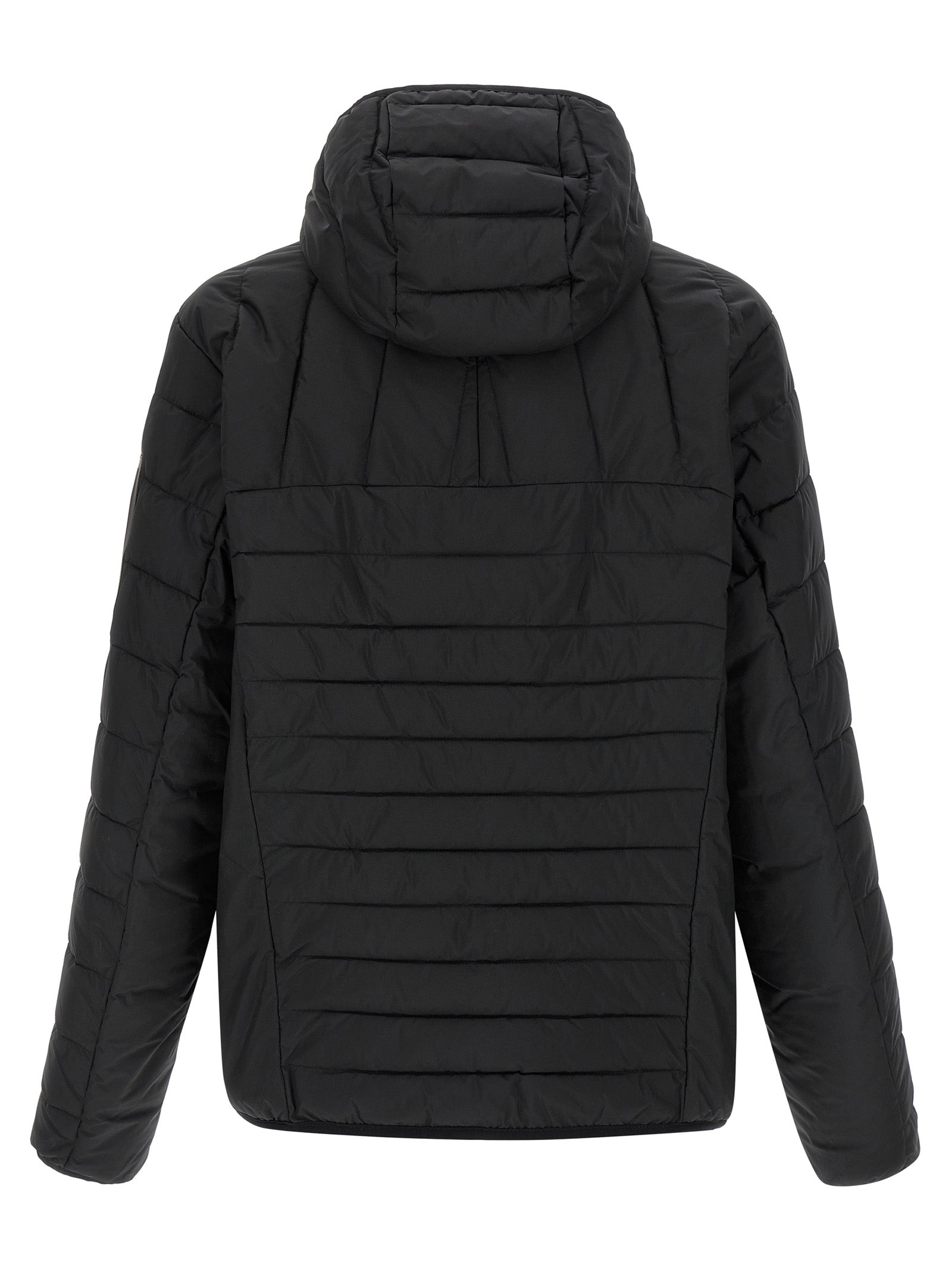 HUGO BOSS striukė
