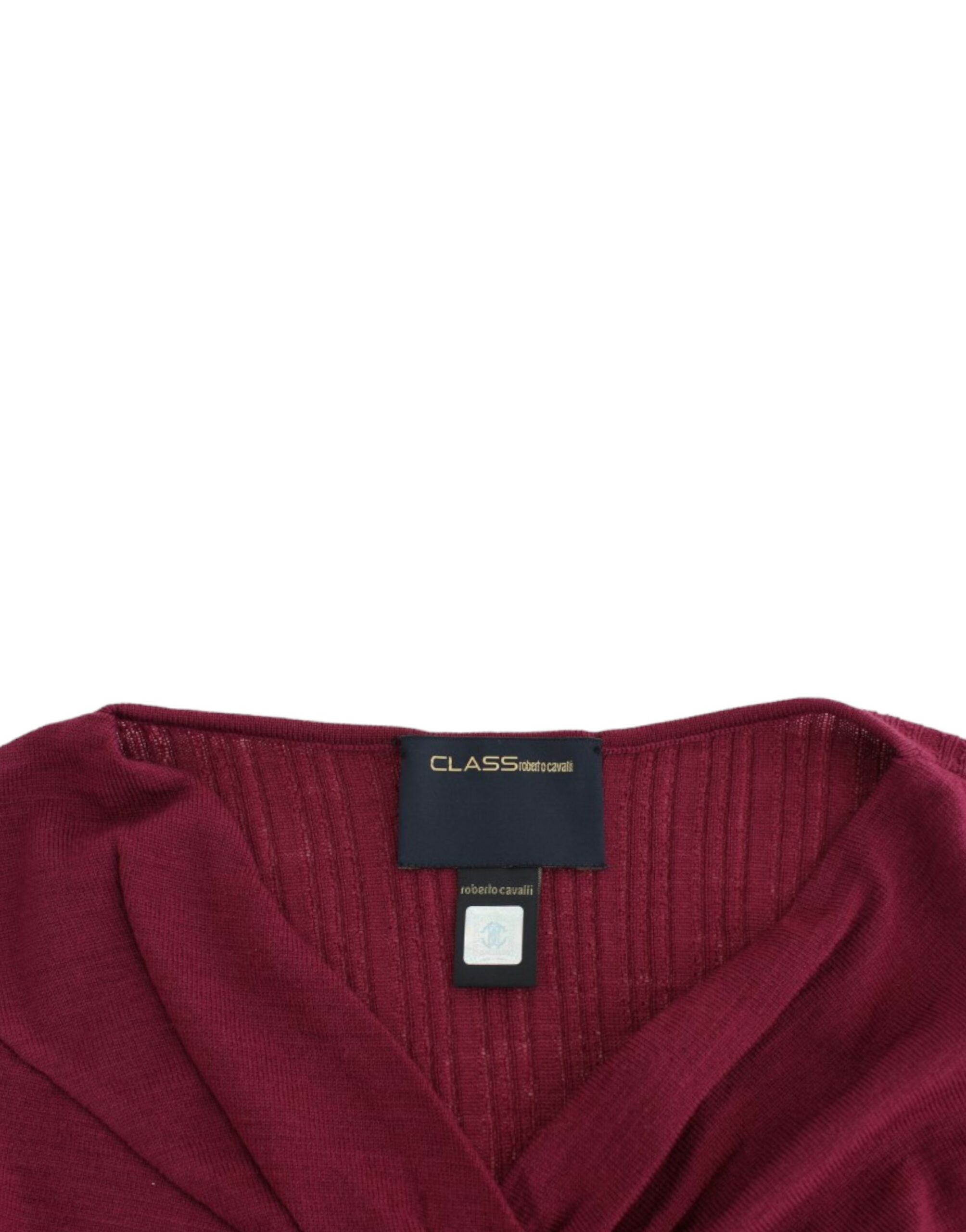 CAVALLI megztinis