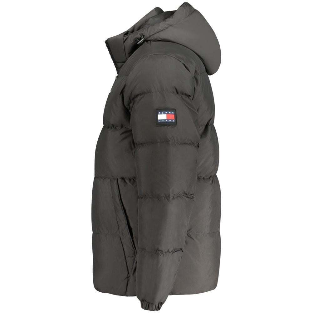 TOMMY HILFIGER striukė