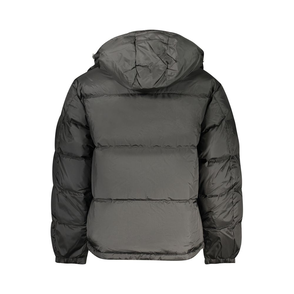 TOMMY HILFIGER striukė