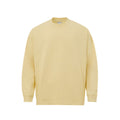 BOTTEGA VENETA džemperis