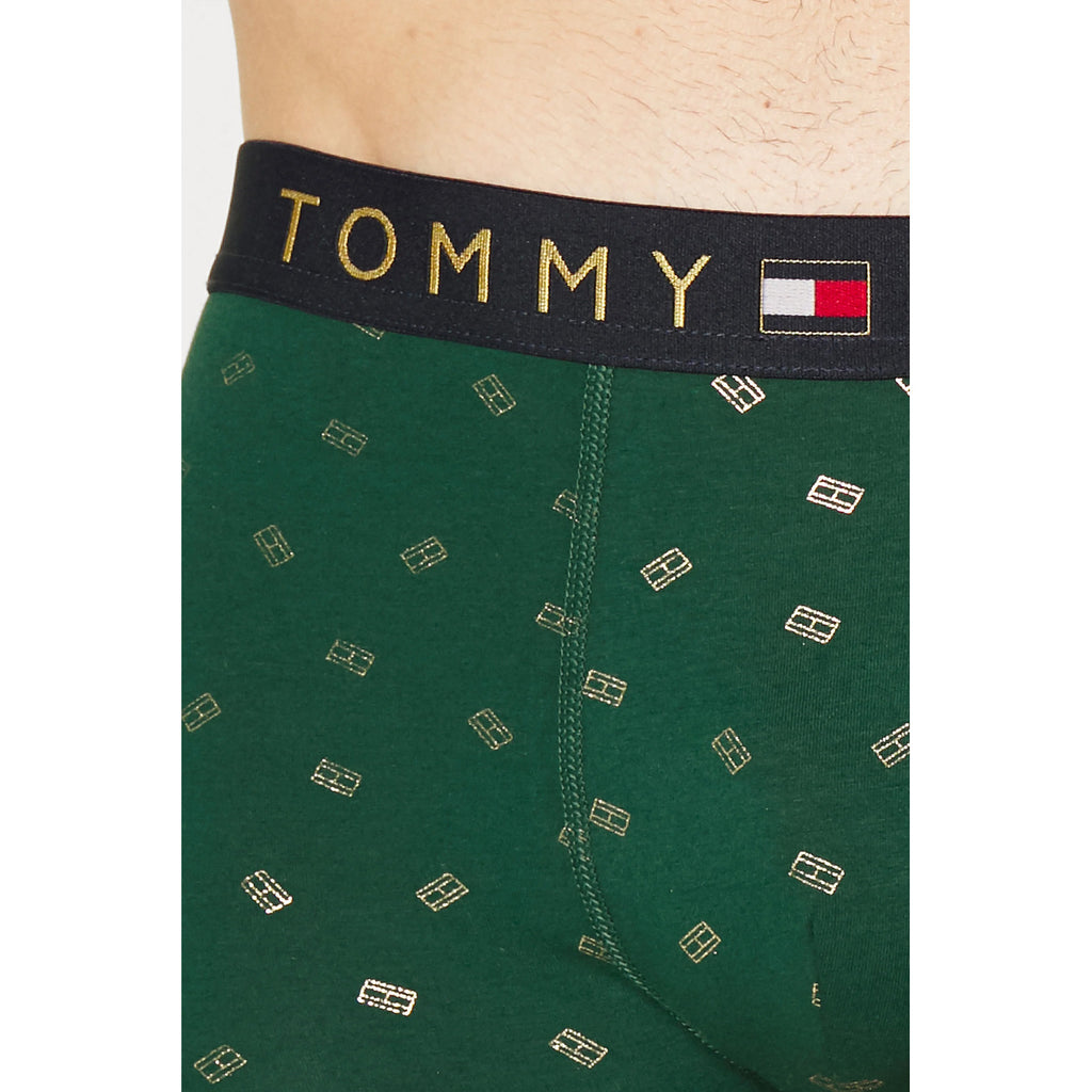 Tommy Hilfiger Apatiniai