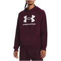 Under Armour Džemperis