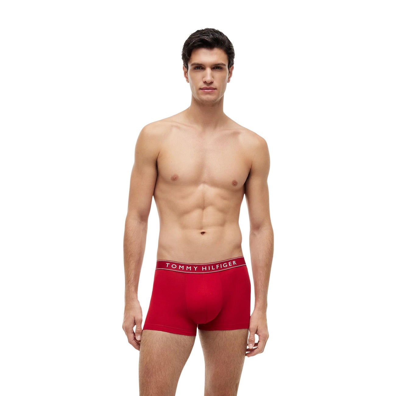 Tommy Hilfiger Apatiniai