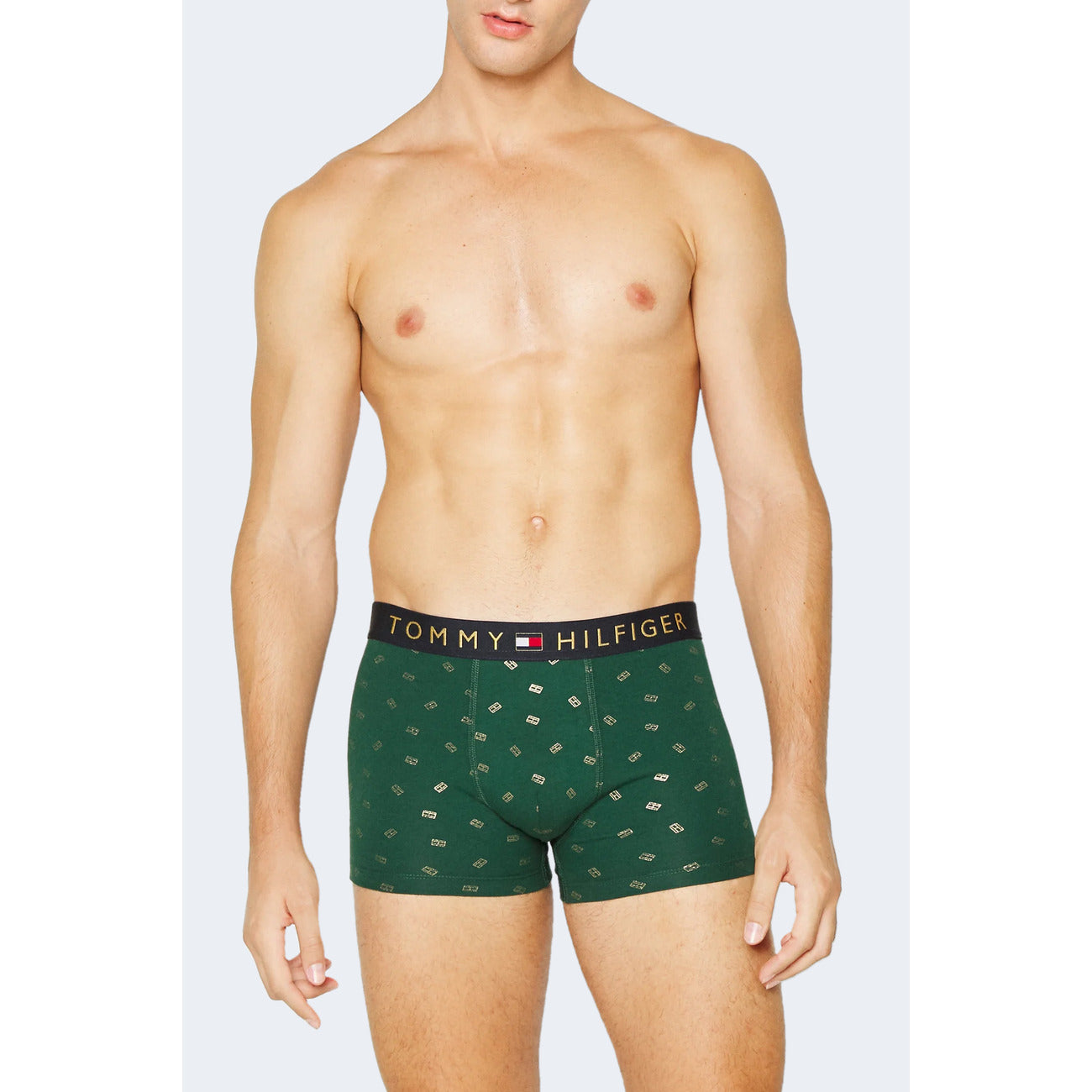 Tommy Hilfiger Apatiniai